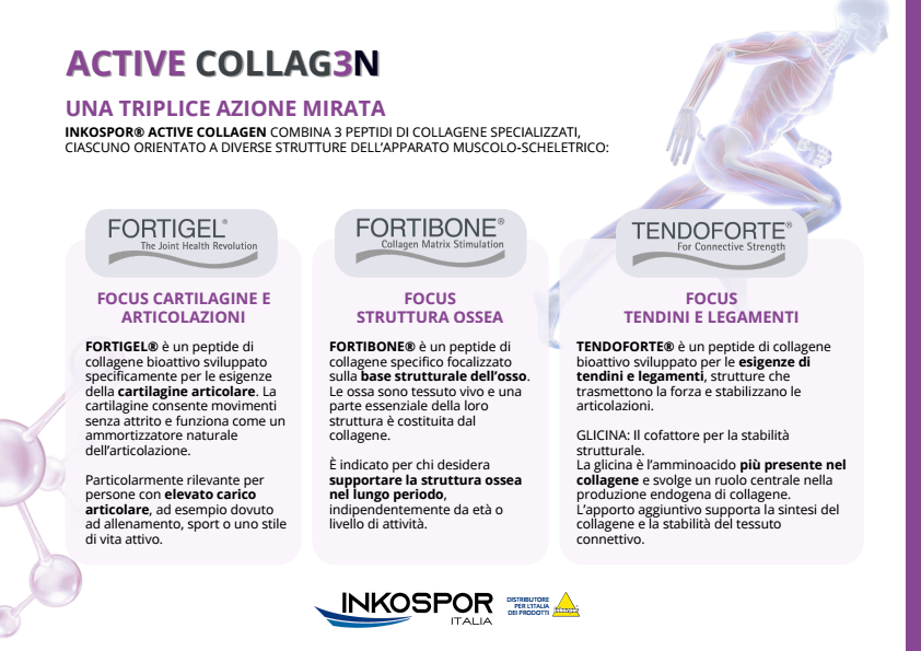 ACTIVE COLLAGEN ARTHRO KOMPLEX - immagine 4